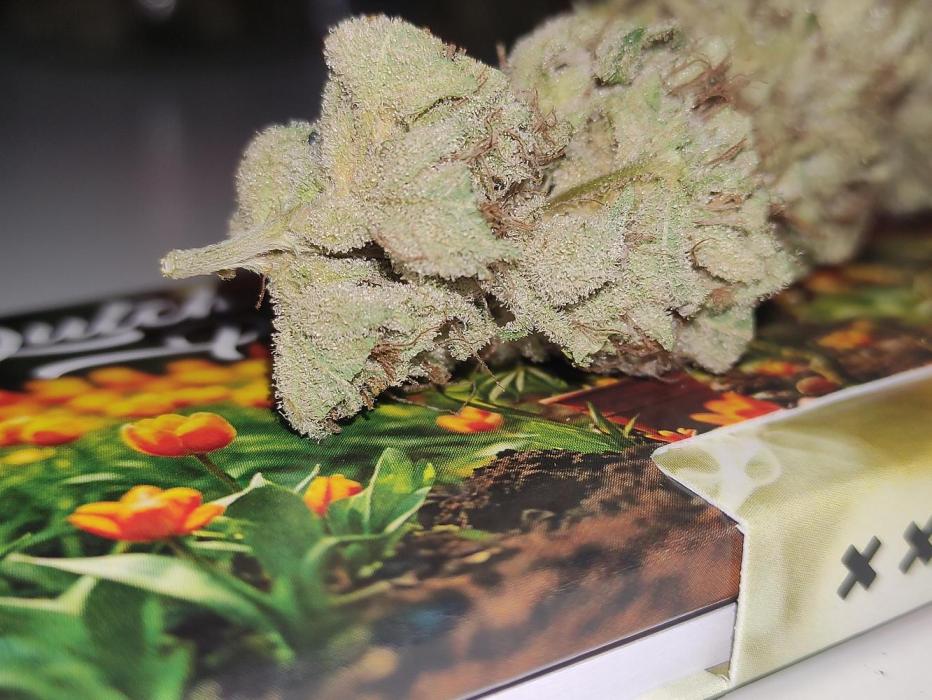Biotabs Growers Interview. Week 9