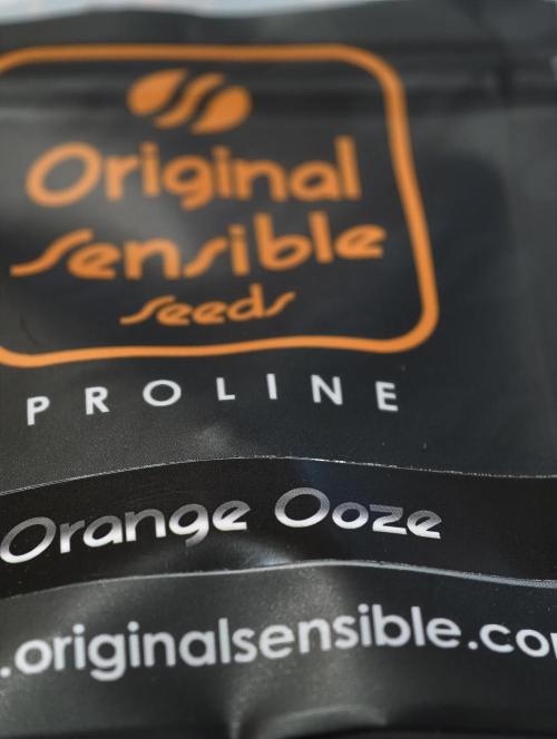 orange ooze. Week 1