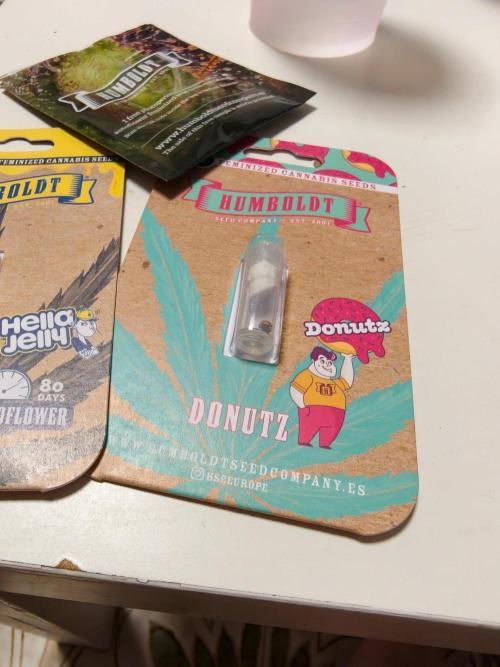 Donutz. Week 0