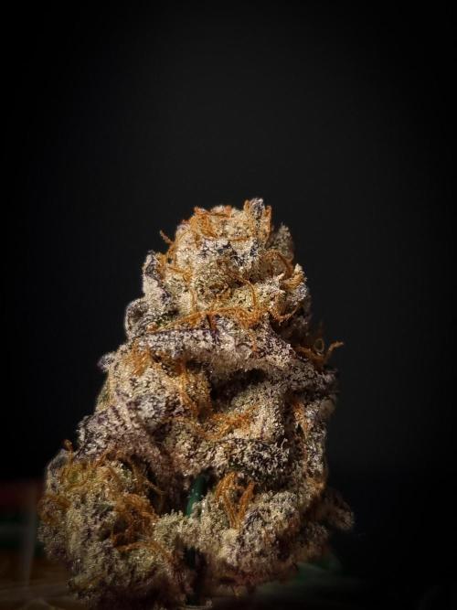 Midnight Candy HappyPlant420 SOIL. Week 17 - Dry
