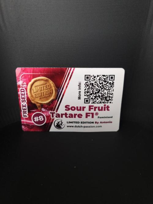 Sour Fruit Tartare Dutch Passion SOIL. Week 0 - Package