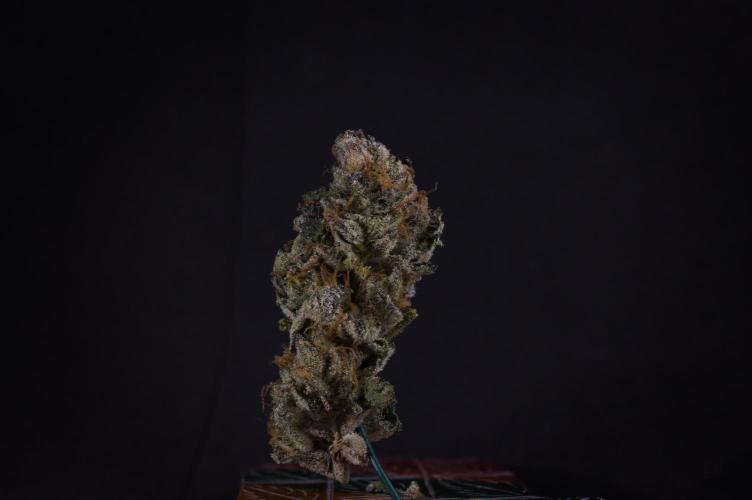 Slush Mint Cake. Week 14