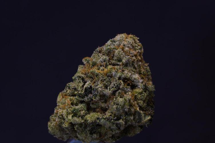 Frozen Nectar HappyPlant420 NFT. Week 15 - Dry