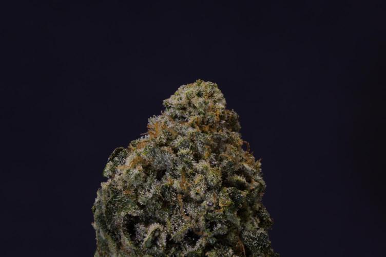 Frozen Nectar HappyPlant420 NFT. Week 15 - Dry