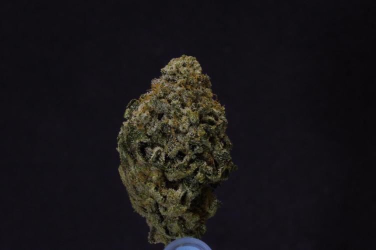 Frozen Nectar HappyPlant420 NFT. Week 15 - Dry