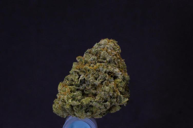 Frozen Nectar HappyPlant420 NFT. Week 15 - Dry