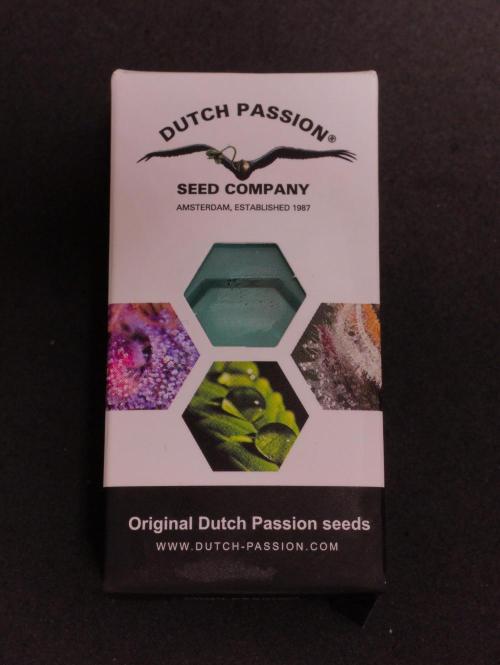 Lemon Z Dutch Passion. Week 0 - Packet