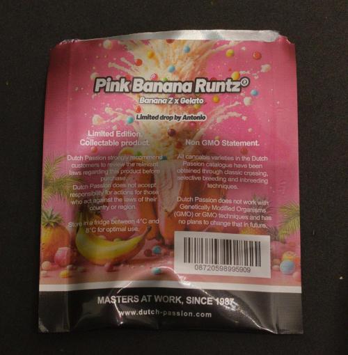 Pink Banana Runtz Dutch Passion. Week 0 - Package