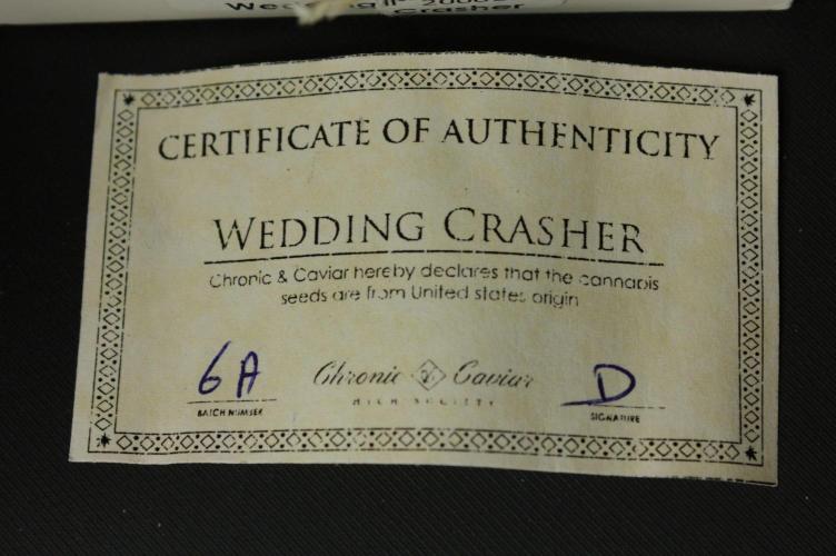 Wedding Crasher Chronic&Caviar. Week 0 - Certification