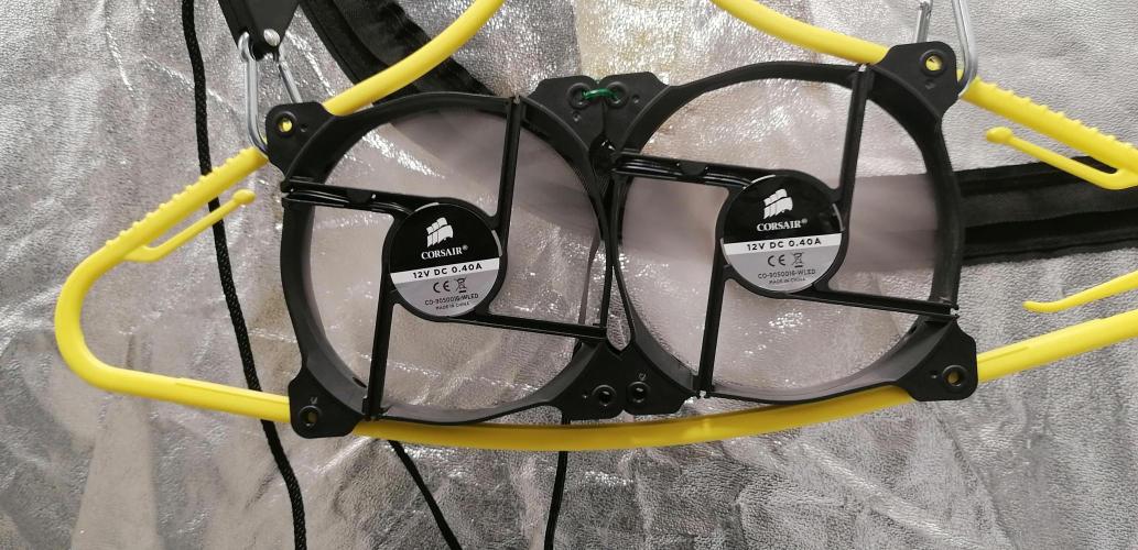 Winter warmer ScrOG. Week 2 - canopy fans
