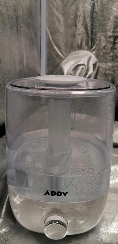 Winter warmer ScrOG. Week 2