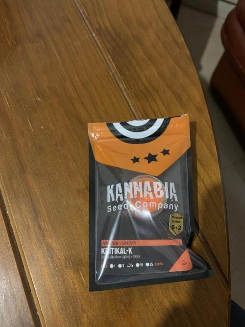 Kritikal K. Week 0