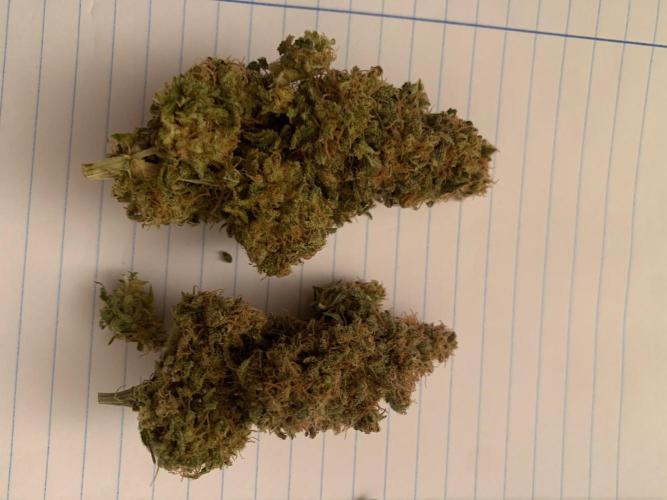 Kritikal-K. Week 16