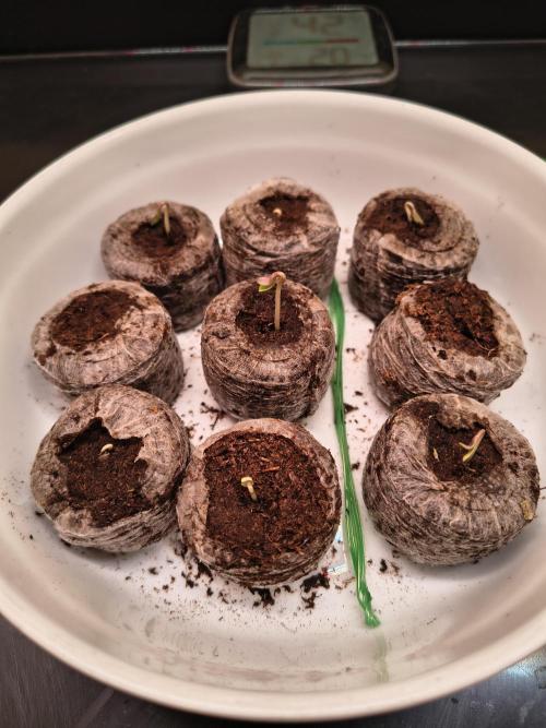 Mix it 2026 Outdoor Germany. Week 0 - Fast alle raus