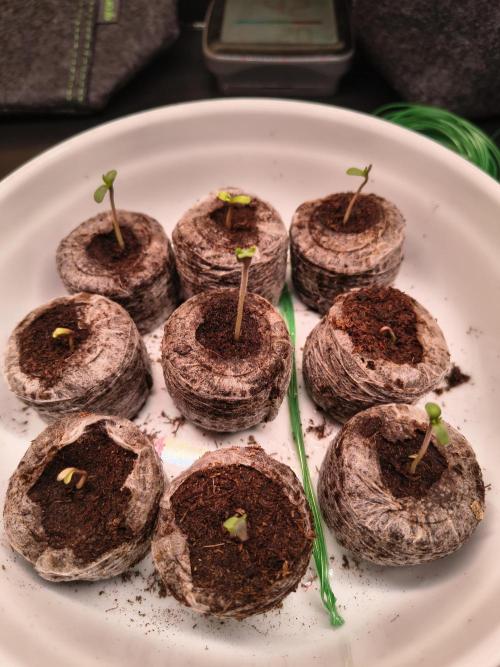 Mix it 2026 Outdoor Germany. Week 1 - Alle raus😁