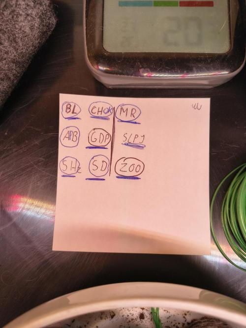 Mix it 2026 Outdoor Germany. Week 1 - Wer ist wo?!