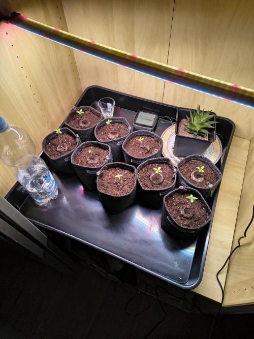 Mix it 2026 Outdoor Germany. Week 1 - 31.01.26 Alle in 1L