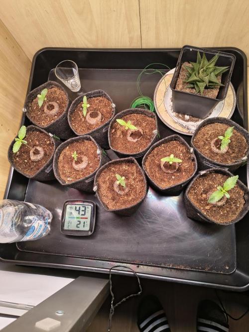 Mix it 2026 Outdoor Germany. Week 2