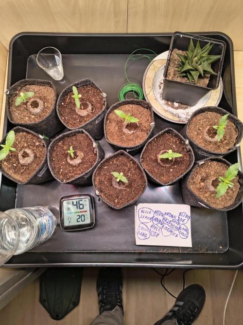 Mix it 2026 Outdoor Germany. Week 2 - 05.02.26