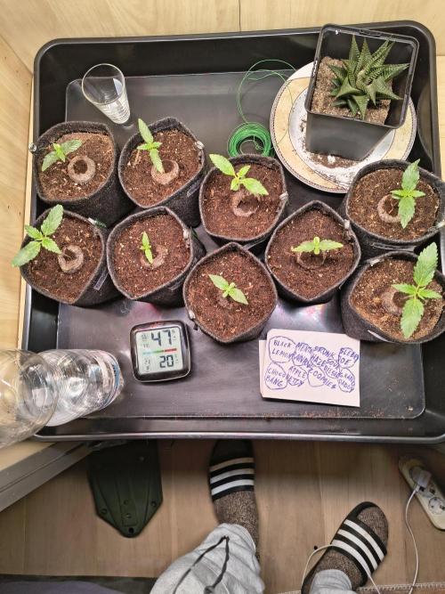 Mix it 2026 Outdoor Germany. Week 2 - 07.02.26....