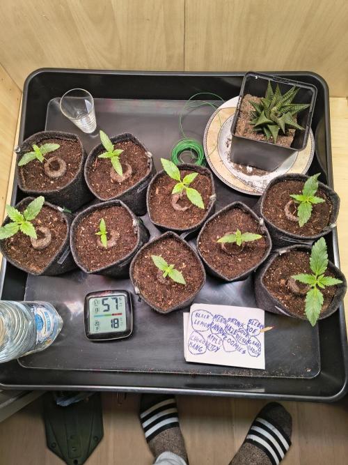 Mix it 2026 Outdoor Germany. Week 2 - 08.02.26