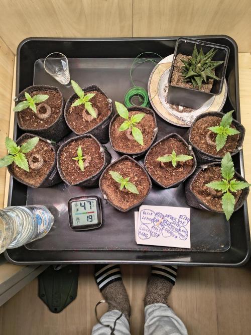 Mix it 2026 Outdoor Germany. Week 2 - 09.02.26