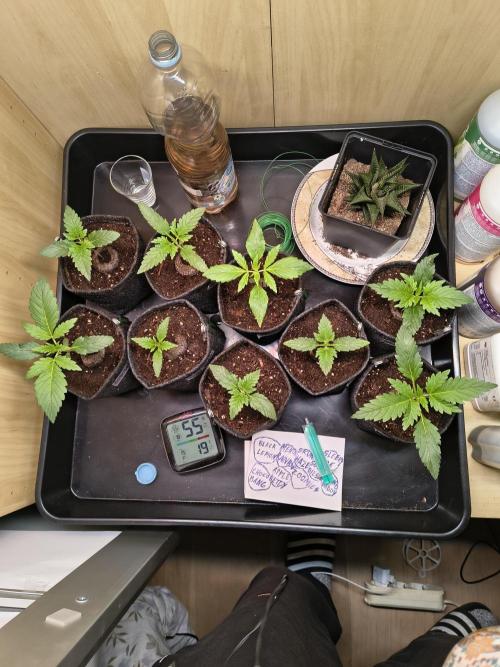 Mix it 2026 Outdoor Germany. Week 3 - 12.02.26