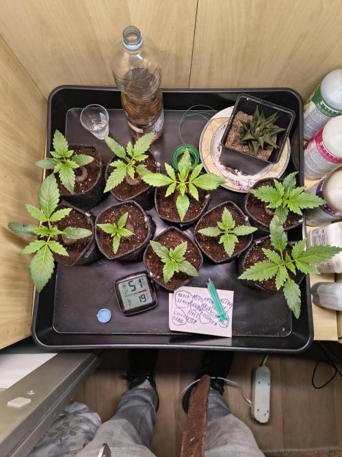 Mix it 2026 Outdoor Germany. Week 3 - 13.02.26