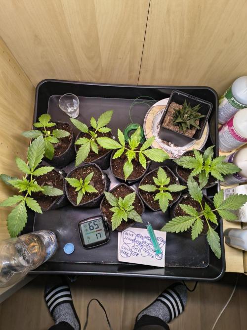 Mix it 2026 Outdoor Germany. Week 3 - 14.02.26