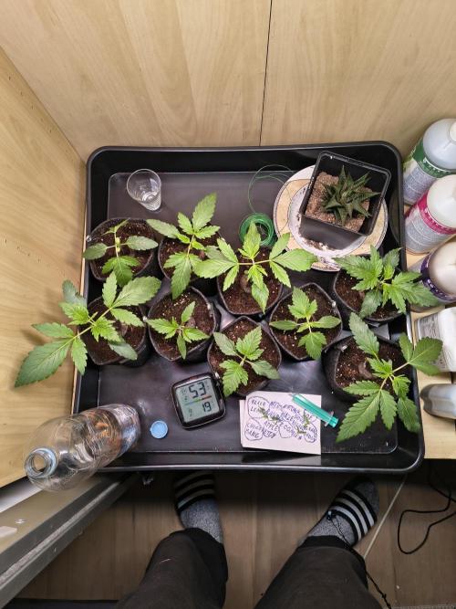 Mix it 2026 Outdoor Germany. Week 3 - 14.02.26 geTopt