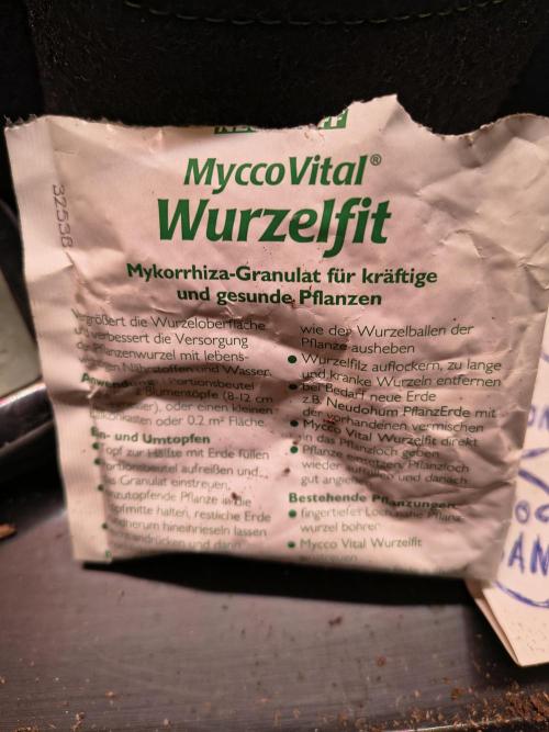 Mix it 2026 Outdoor Germany. Week 3 - Mykorrhiza Pilz wurde bei Allen Pläntchen verabreicht 