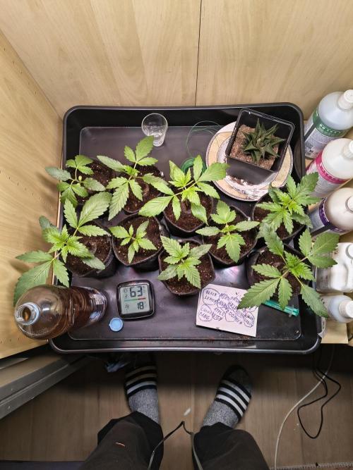 Mix it 2026 Outdoor Germany. Week 3 - 15.02.26