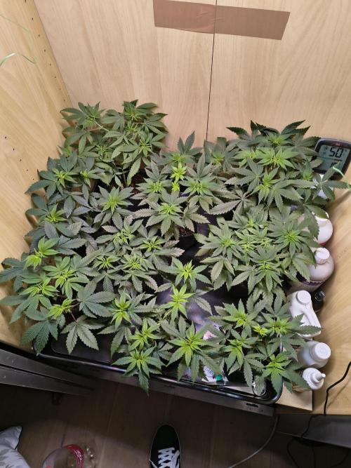 Mix it 2026 Outdoor Germany. Week 7 - 17.03.26