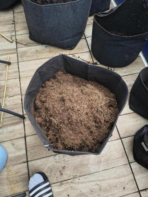 Mix it 2026 Outdoor Germany. Week 10 - Alles klein gemacht mit Wurzeln