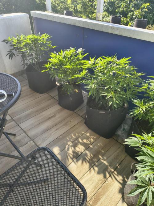 Mix it 2026 Outdoor Germany. Week 17 - 25.05.26 Apb,GDP,Chb