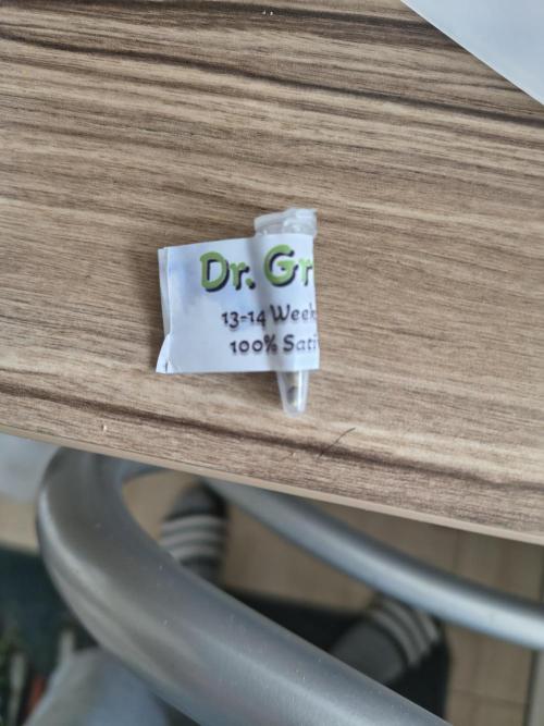 Dr.Grinspoon Seeds Making. Week 0