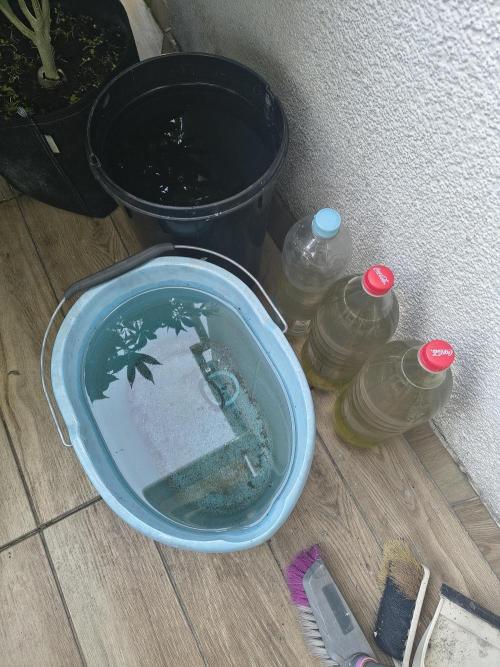 Mix it 2026 Outdoor Germany. Week 22 - Water daily on all plants 