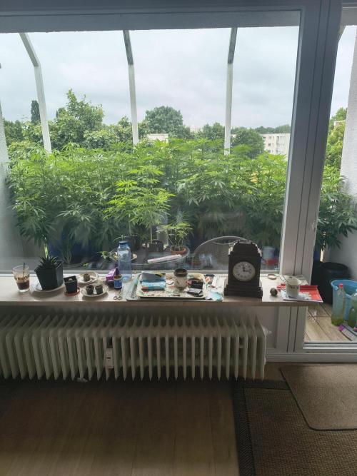 Mix it 2026 Outdoor Germany. Week 23