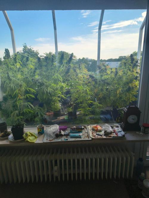 Mix it 2026 Outdoor Germany. Week 31