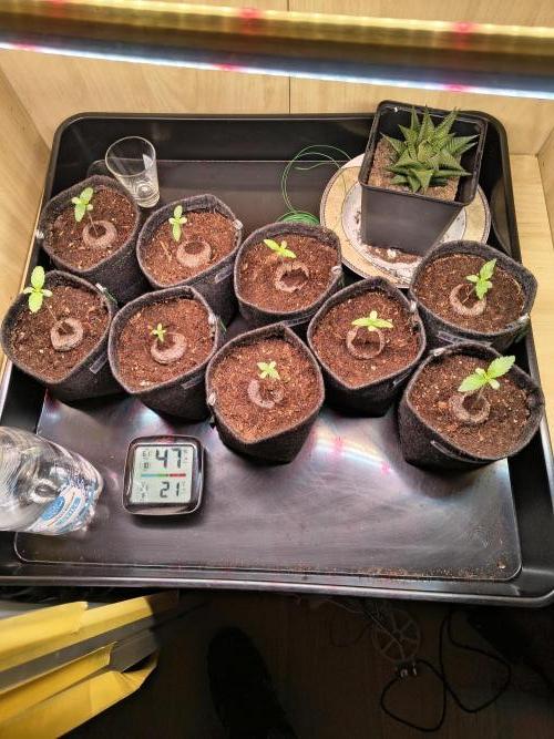 Mix it 2026 Outdoor Germany. Week 1 - 03.02.26