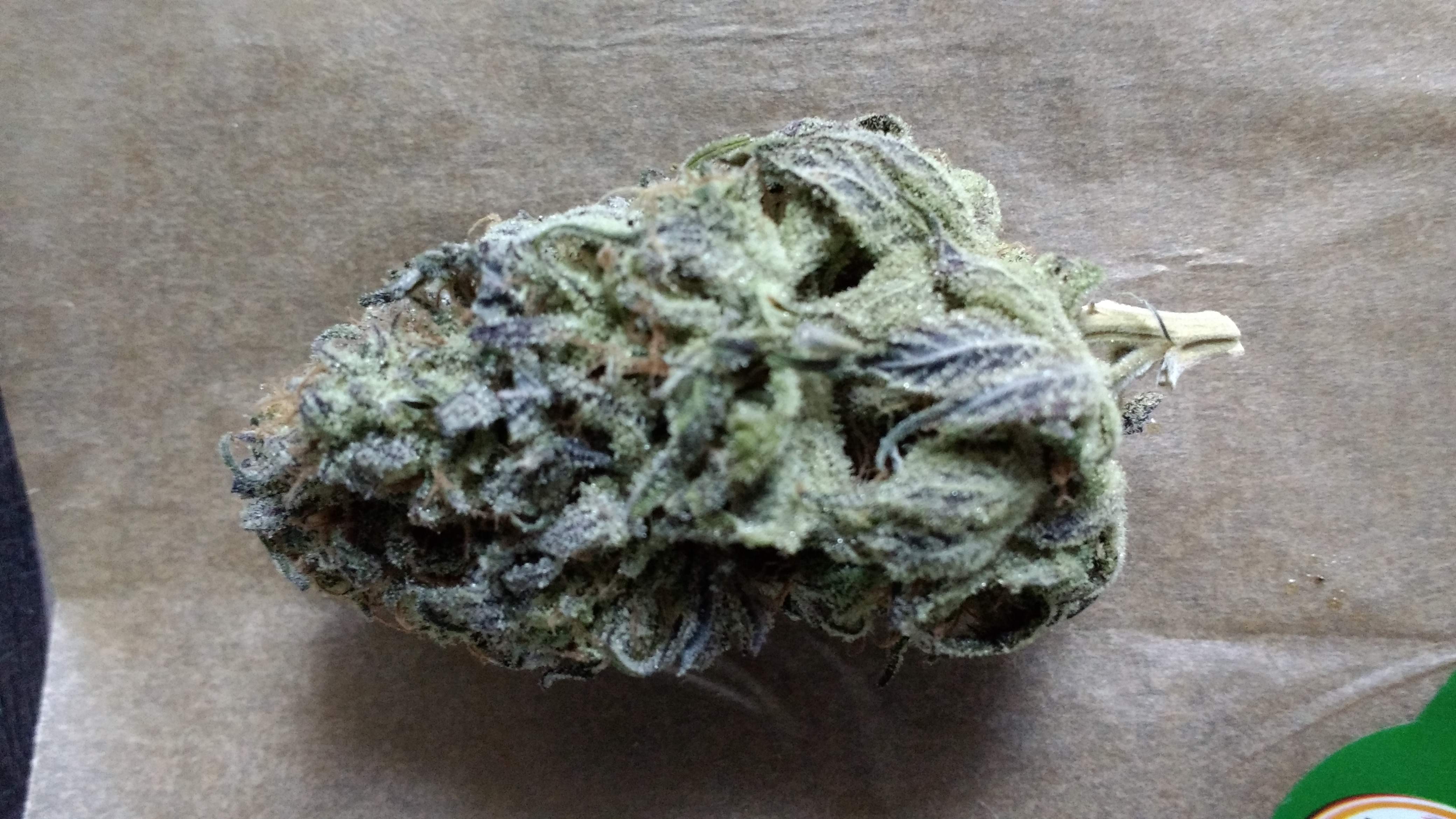 Ripper Seeds Zombie Kush grow journal harvest14 by GrowDiaries