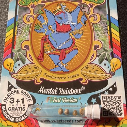 Mental Rainbow. Week 0