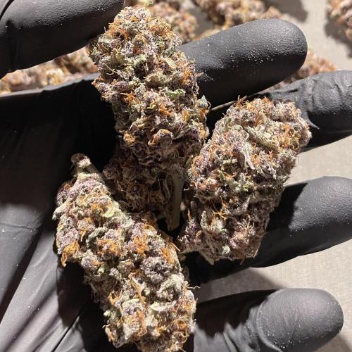 Black Muffin. Week 17