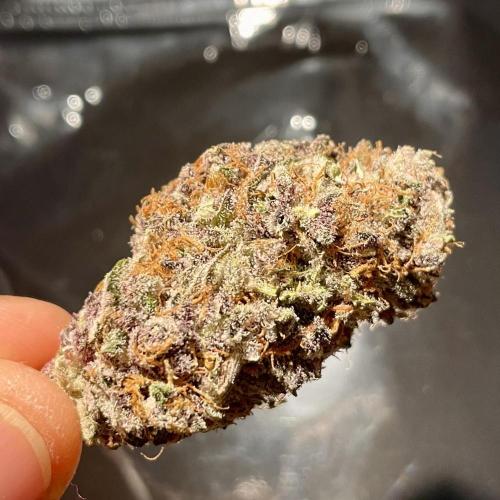 Black Muffin. Week 17