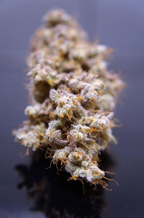 Purple Punch OG🍇II. Week 14