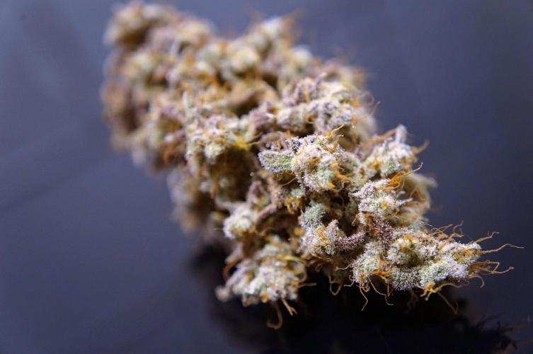 Purple Punch OG🍇II. Week 14