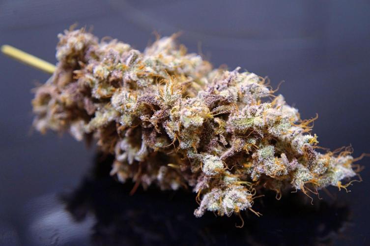 Purple Punch OG🍇II. Week 14