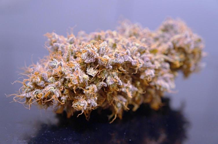 Purple Punch OG🍇II. Week 14