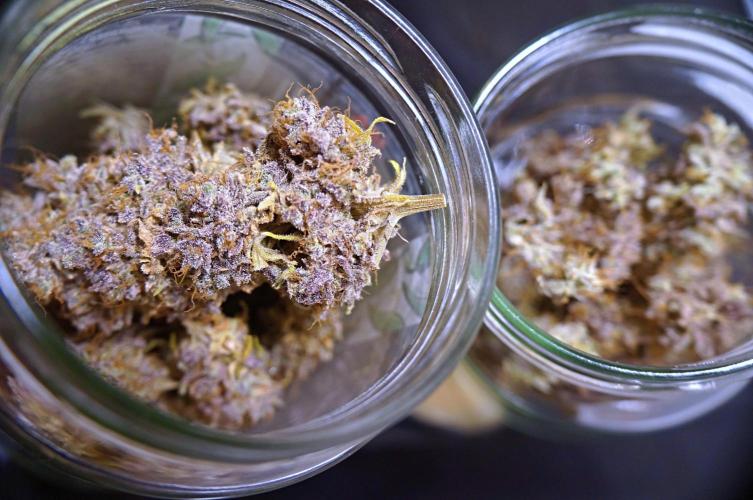 Purple Punch OG🍇II. Week 14