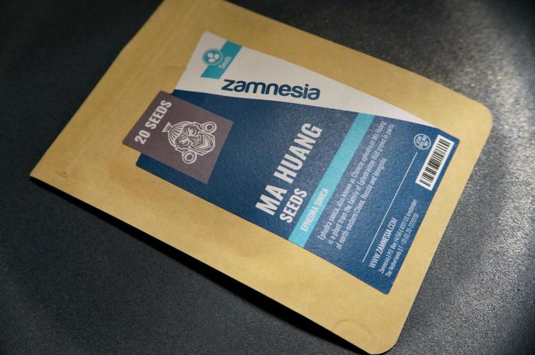 Ma Huang / Ephedra Sinica. Week 0